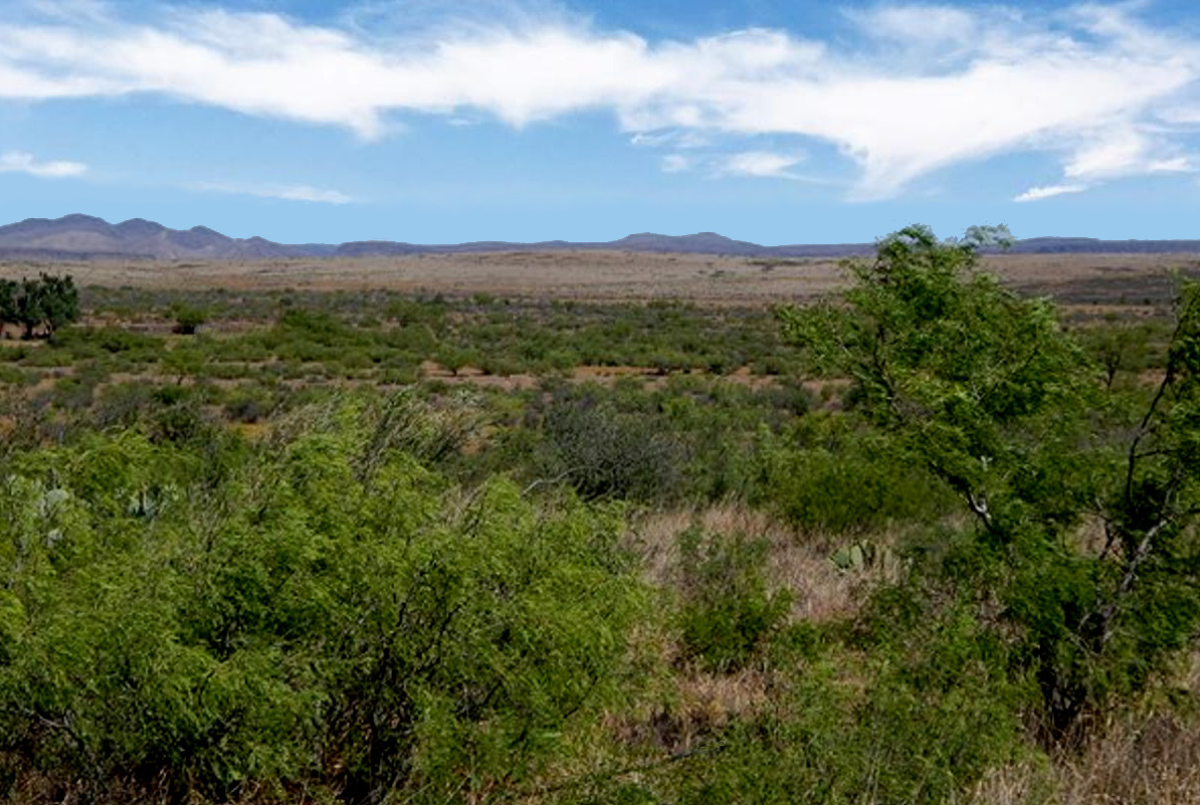 West Texas land with mountains in the distance