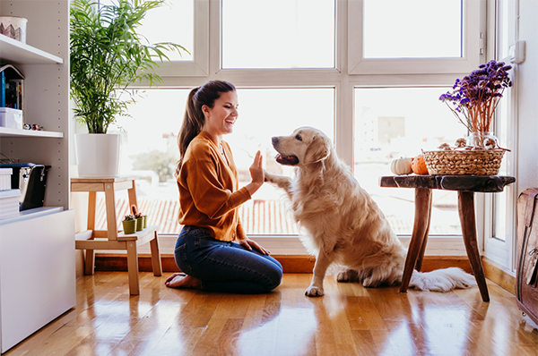 Advantages of Owning a Home in Eastern CT