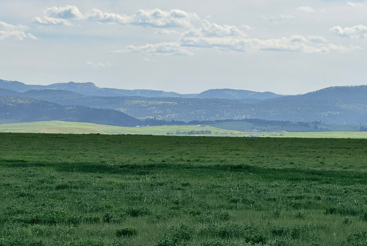 90 Acre Farm/Ranch Land