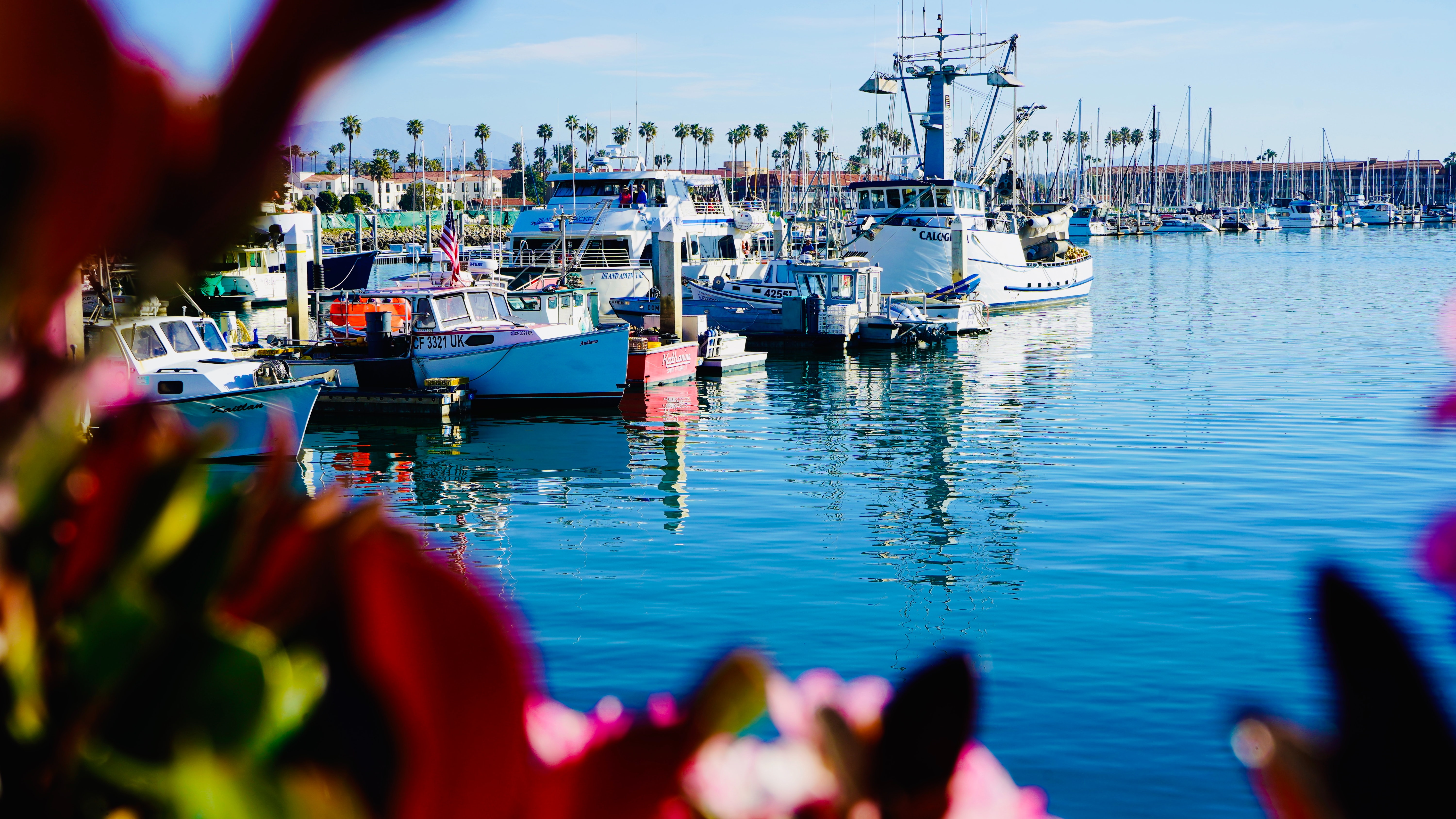 Ventura Harbor image